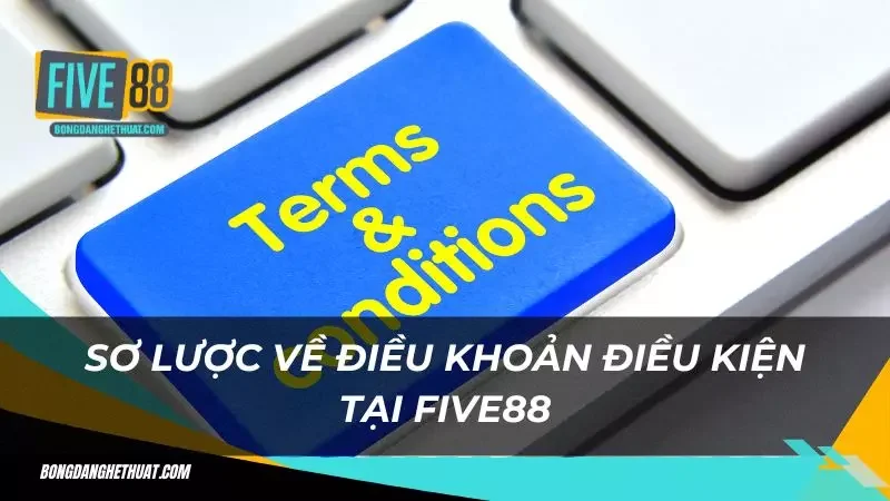 Đôi nét về điều khoản sử dụng mà bet thủ phải biết