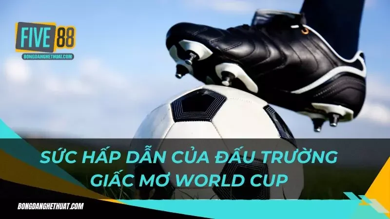 sức hấp dẫn của đấu trường World cup 